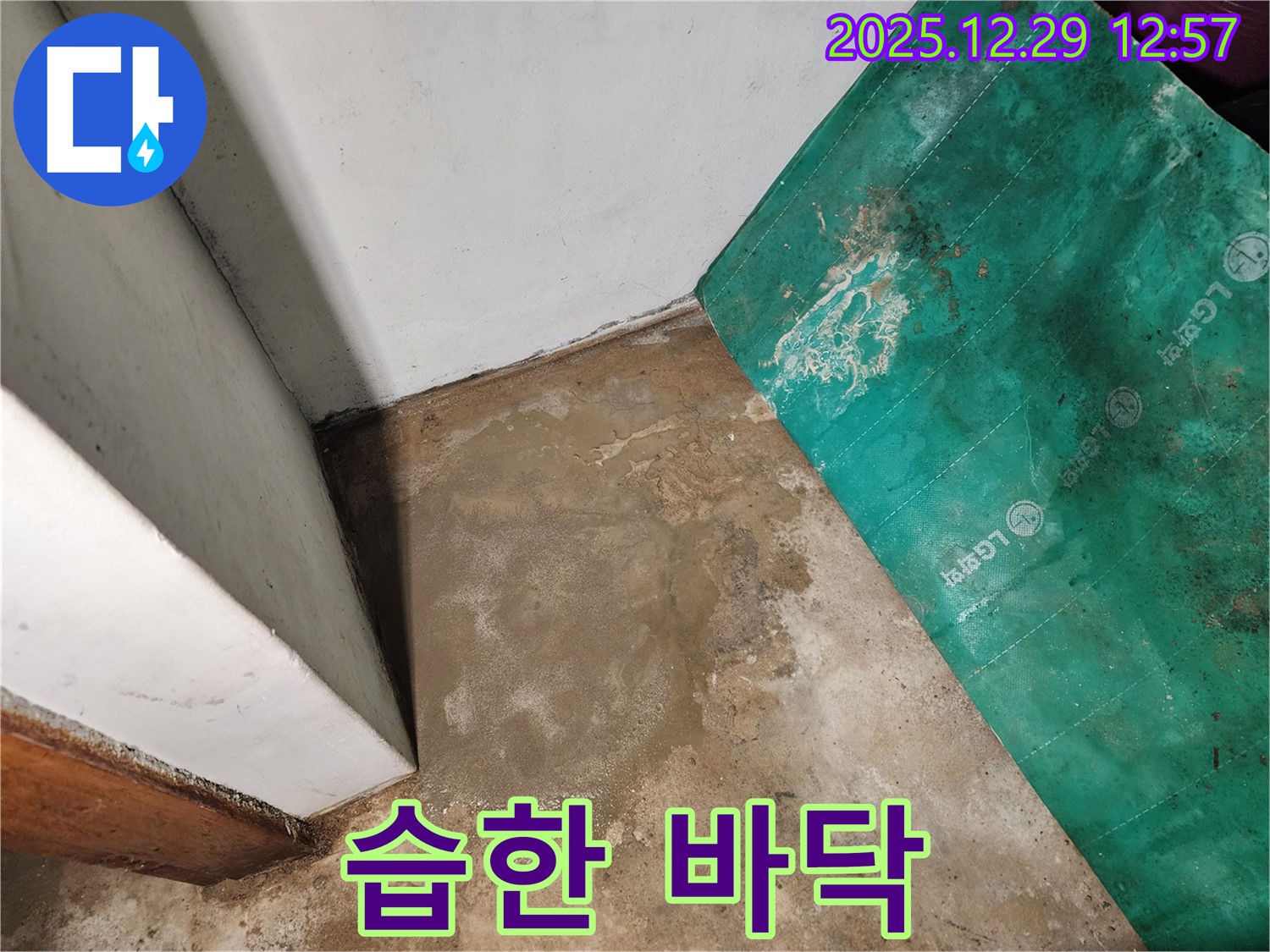 상계2동 누수 - 습한 바닥과 곰팡이