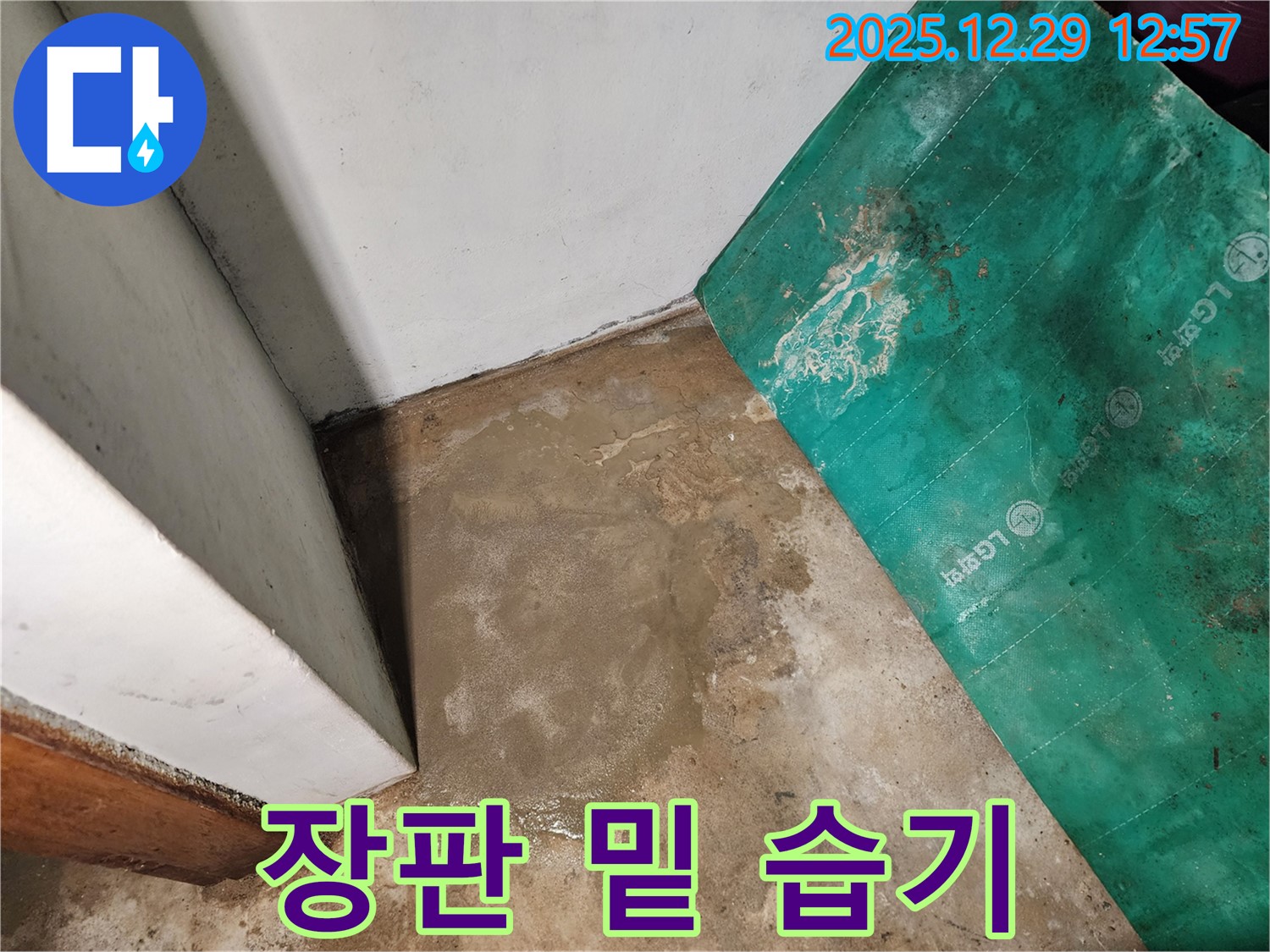 상계2동 누수 - 장판 아래 습기, 누수 의심