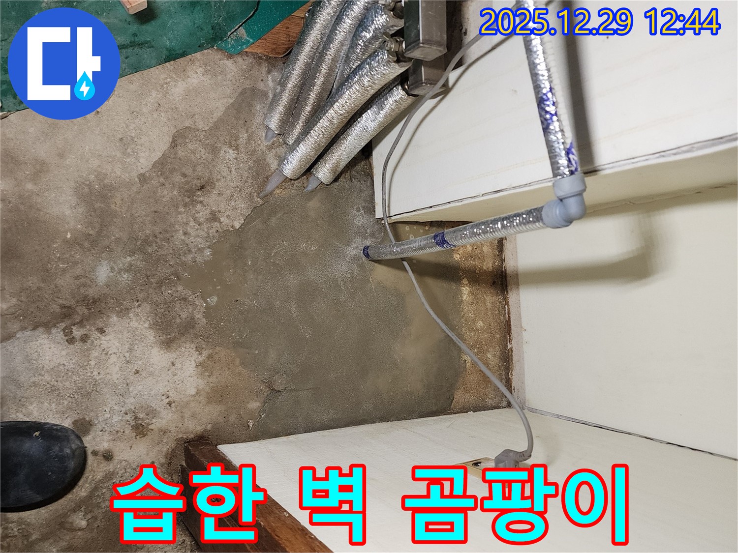 상계2동 누수탐지 - 습한 벽에 핀 곰팡이