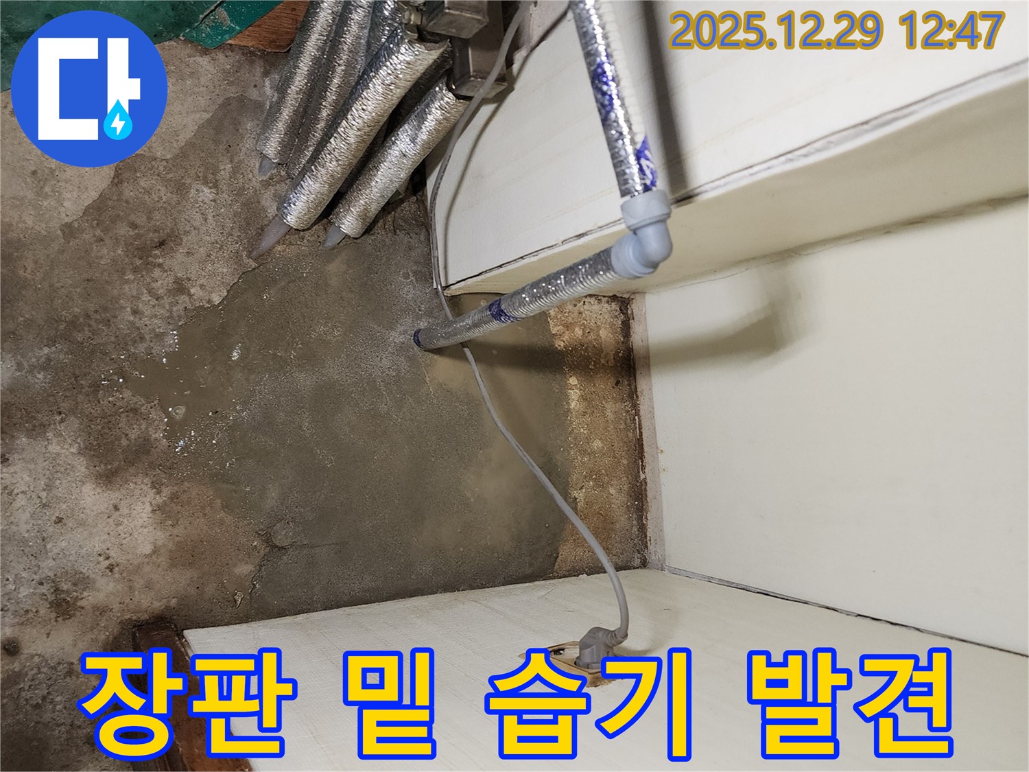 상계2동 주택 - 장판 밑 습기, 숨겨진 누수 신호