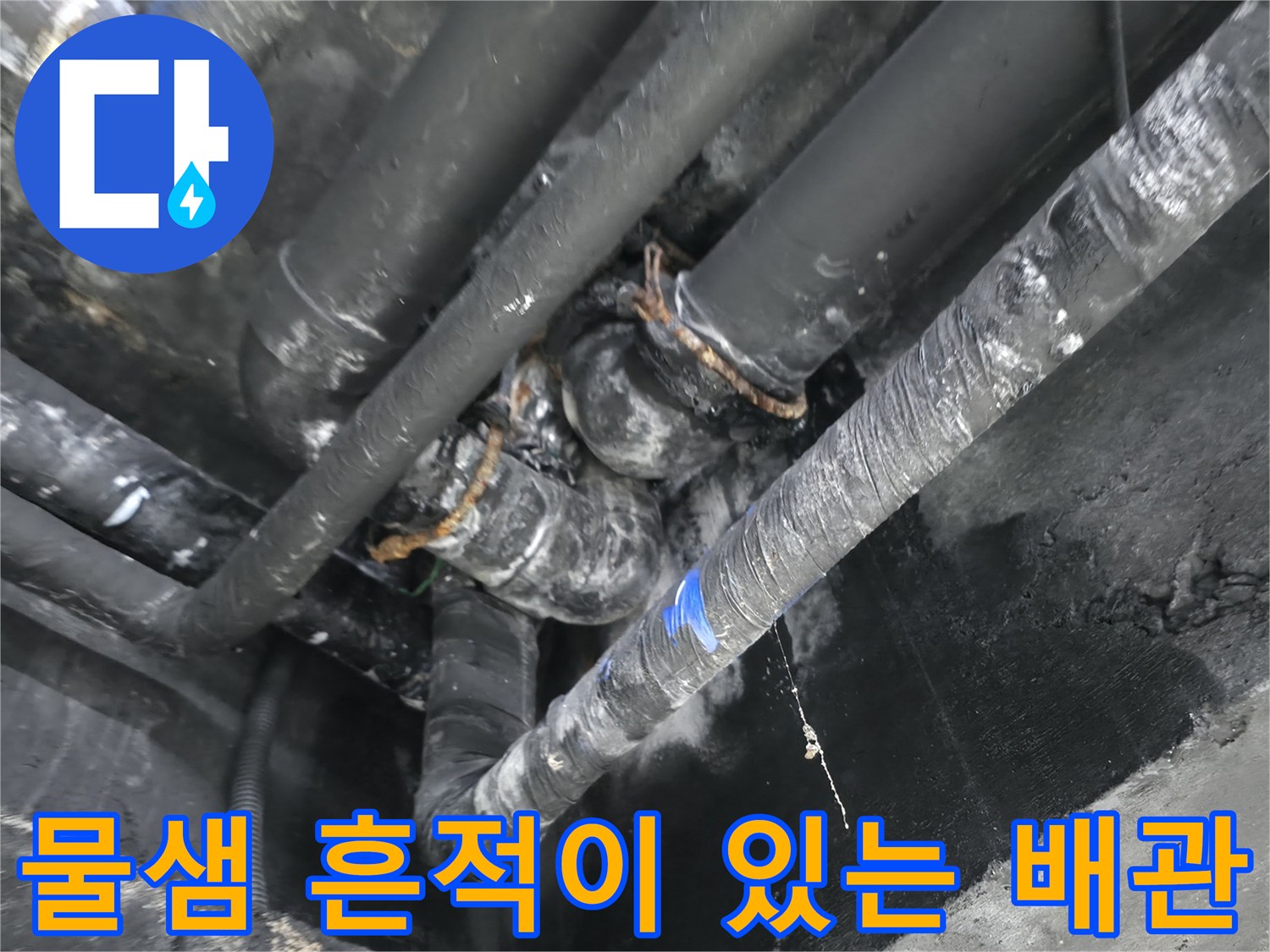 축축하게 젖은 상태의-용인 수지 지하층 배관