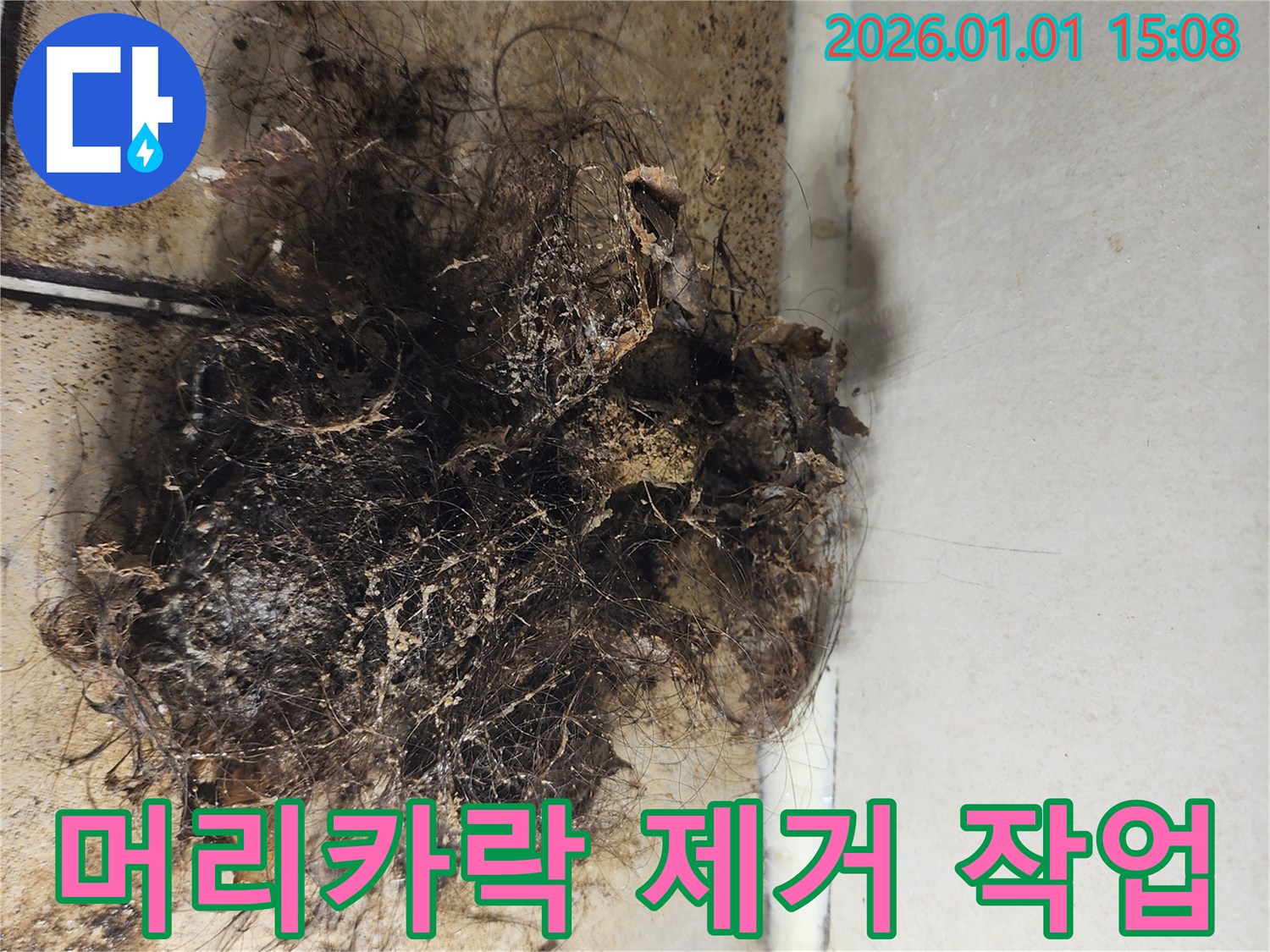 머리카락 제거 작업 - 배수구에서 제거한 머리카락 뭉치