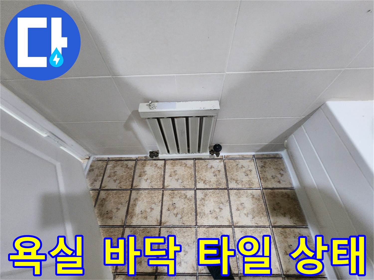 물기가 머문 화장실 바닥 배수구 근처 사진