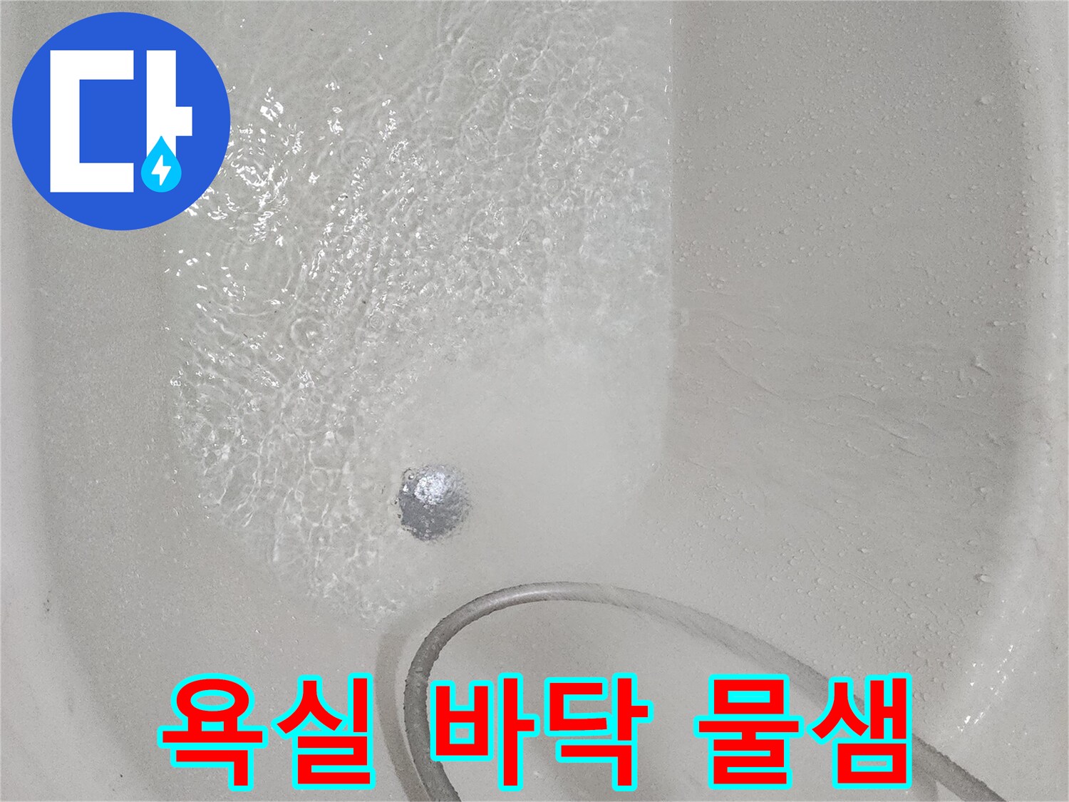 일산동구 욕실-배수구 유가 주변 침수 확인