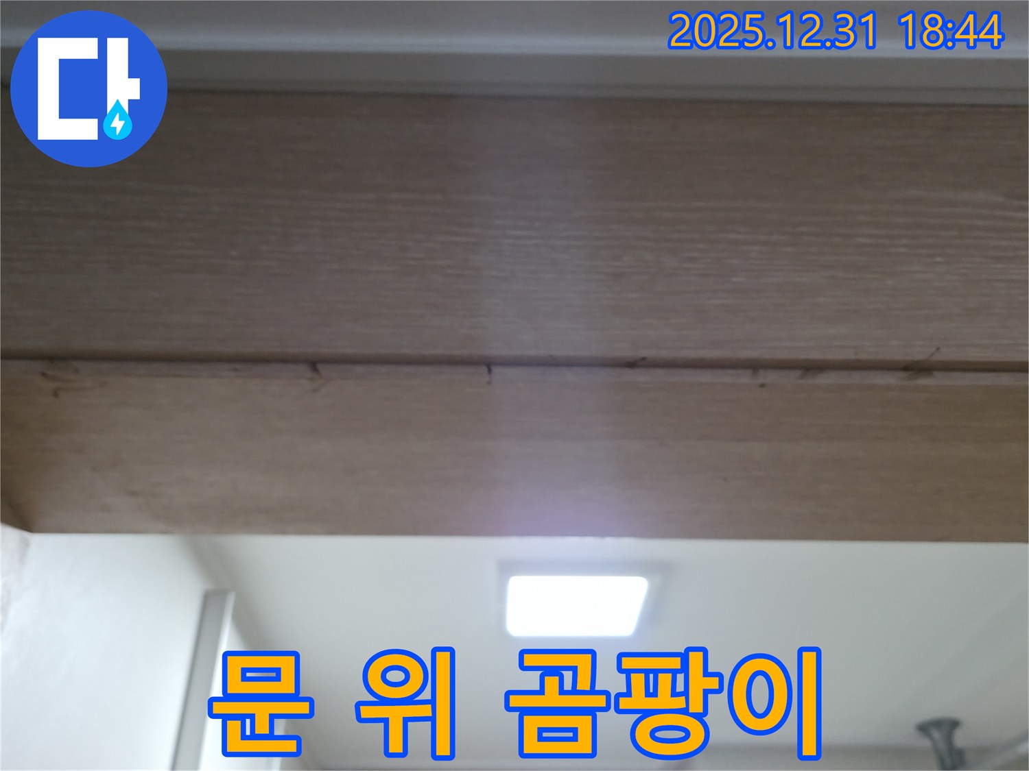 토정동 문 위 곰팡이 - 누수 현장 사진입니다.