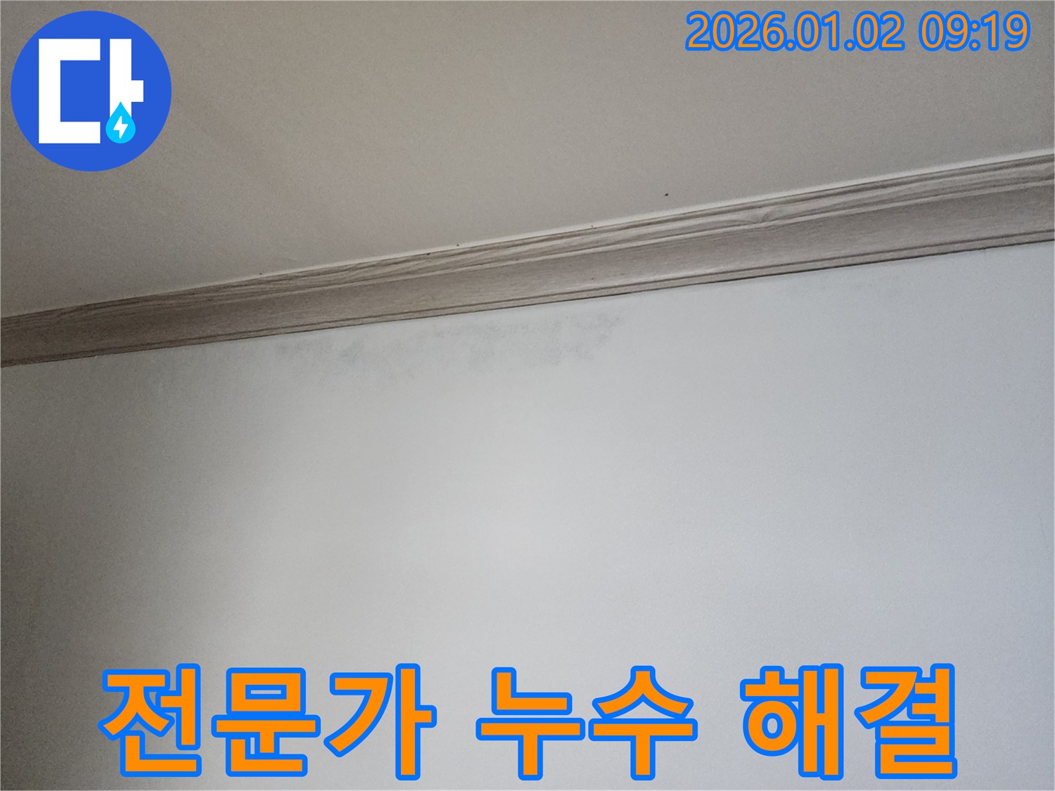 누수 전문가의 완벽한 누수 해결