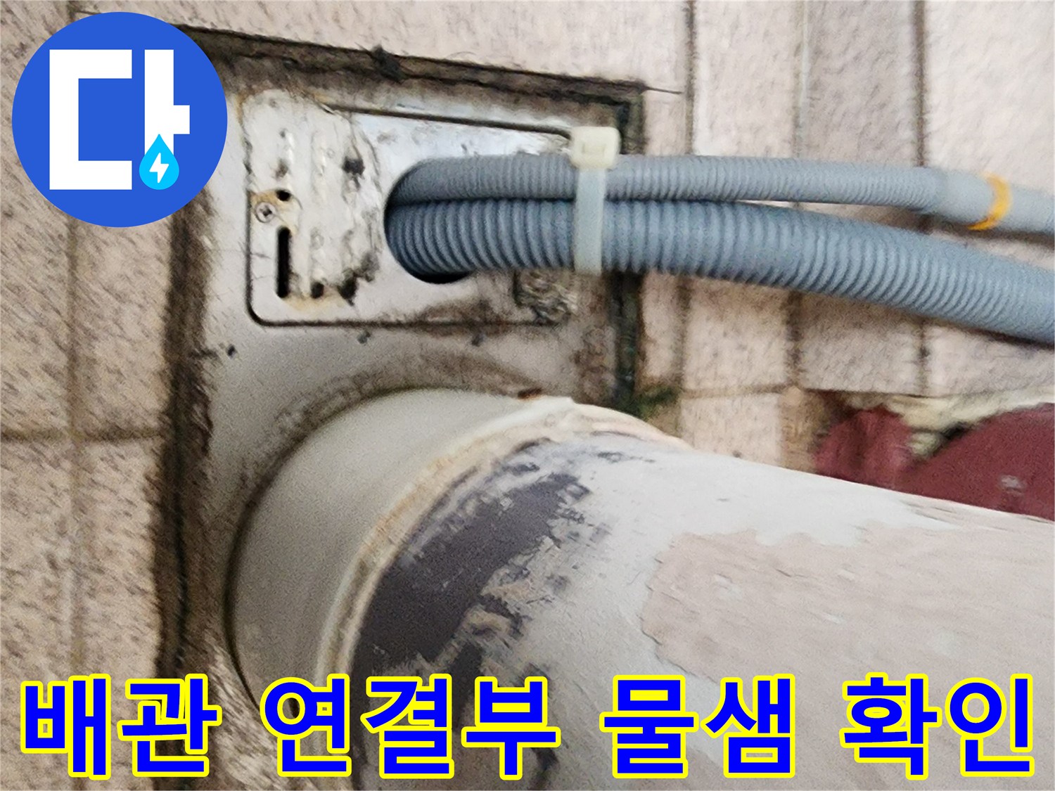 배수구-주변-타일-틈새-누수-흔적-촬영