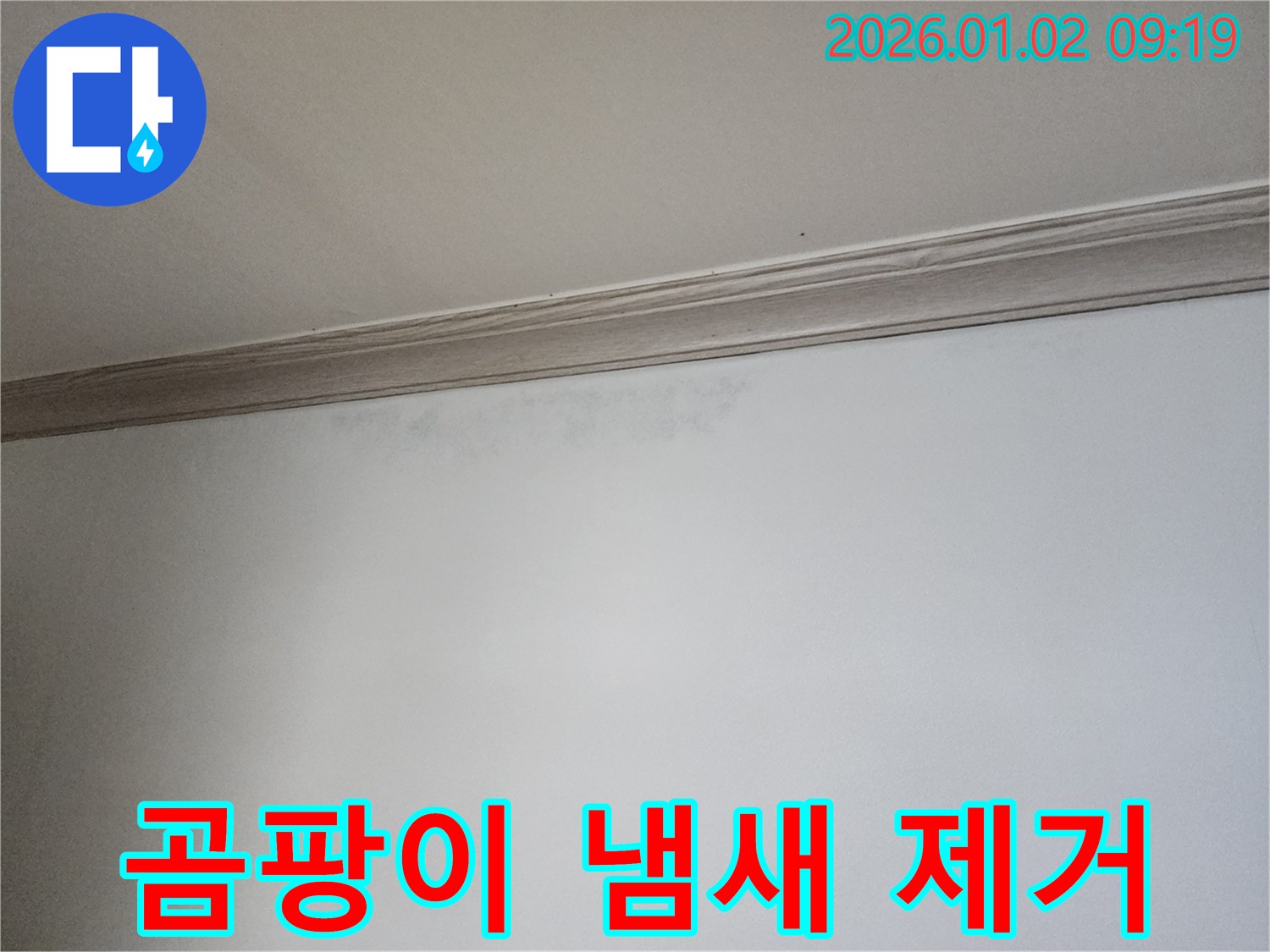 상계9동 곰팡이 - 곰팡이 냄새 제거 및 완벽 차단