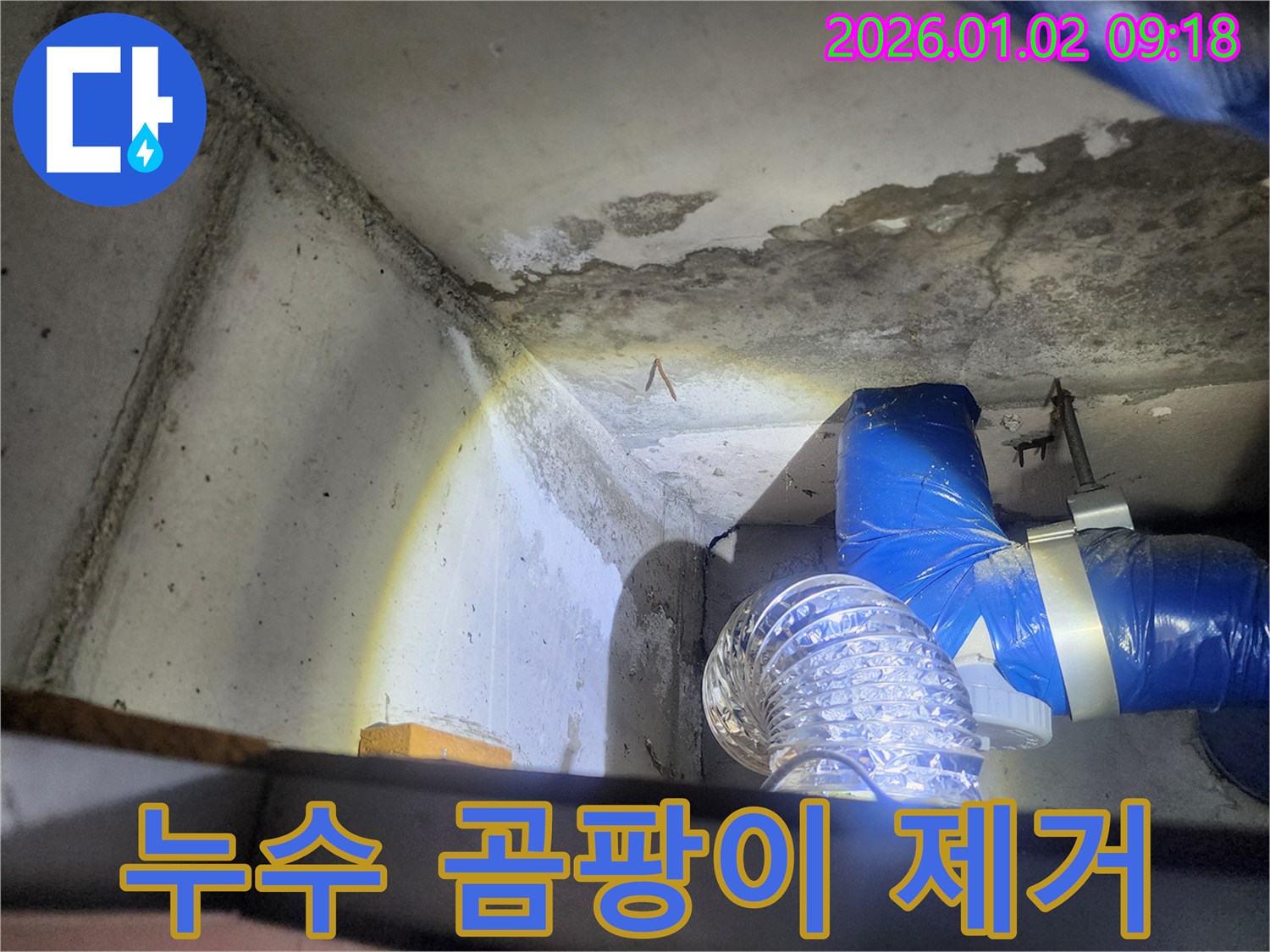 상계9동 누수 곰팡이 제거 - 곰팡이 제거 작업