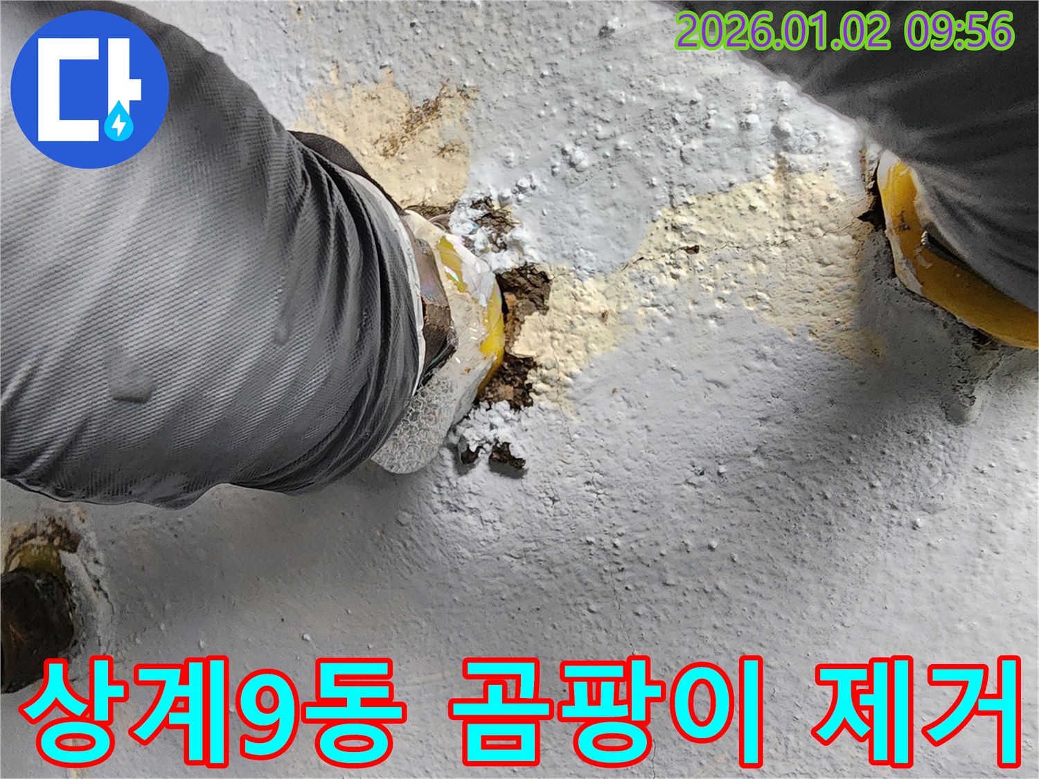 상계9동 누수 현장 - 곰팡이 냄새와 습기 제거가 우선입니다.