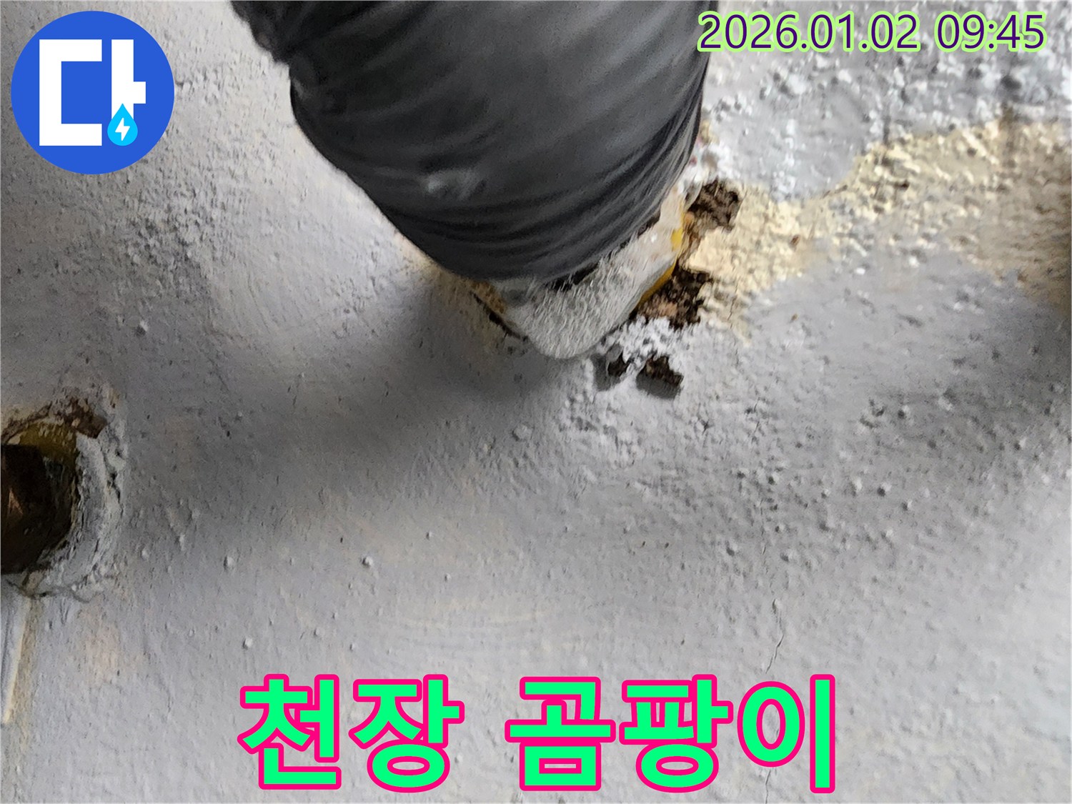 상계9동 천장 누수 - 곰팡이 발생으로 건강 위협