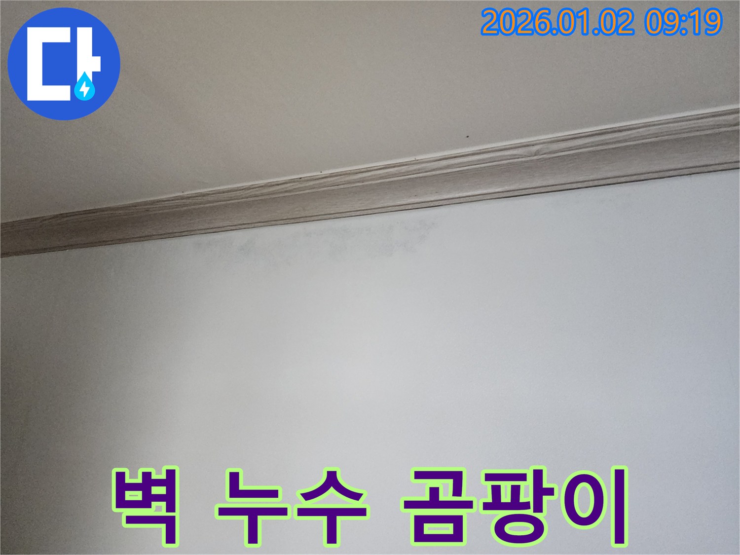 상계동 벽 누수 - 초기 곰팡이 발생 징후