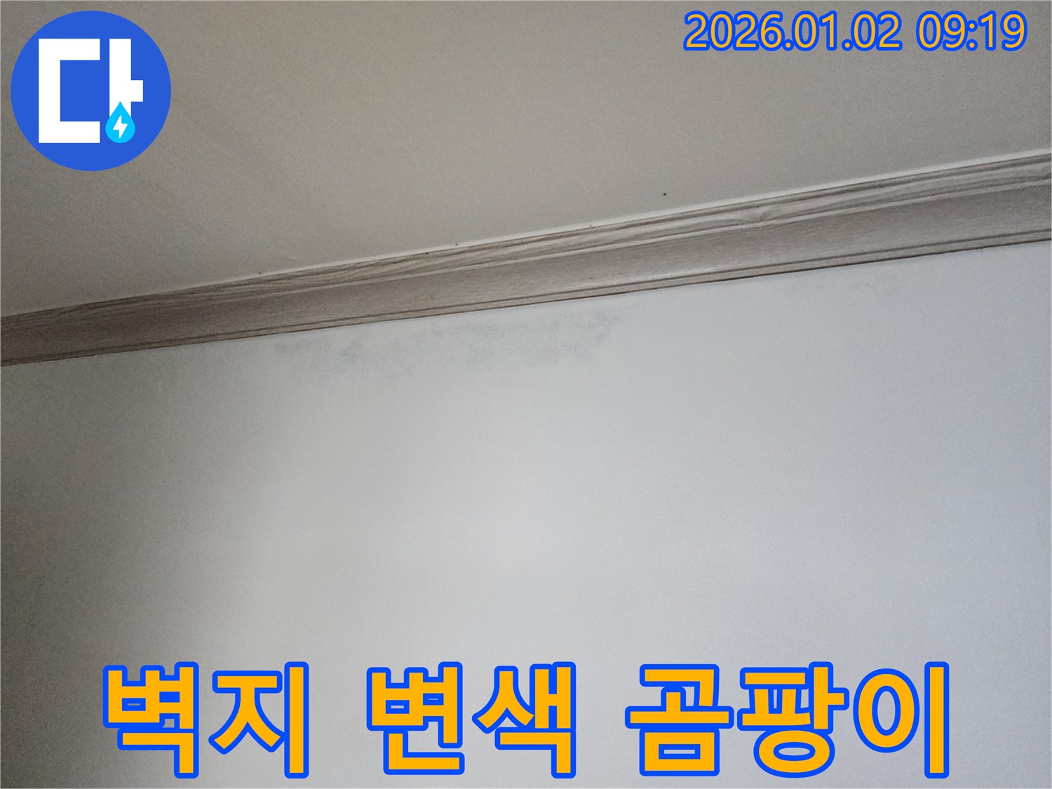 상계동 벽지 변색 - 곰팡이 발생 가능성 높음