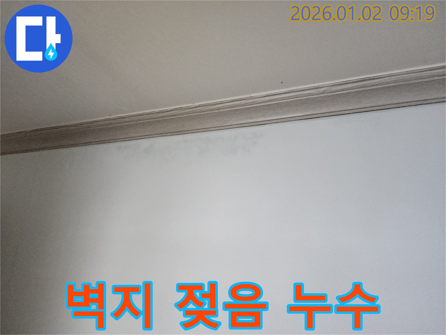 상계동 벽지 젖음 - 긴급 누수 점검 필요