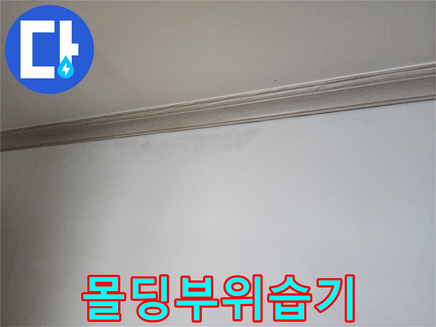 천장-몰딩-주변-젖은-벽지-상태