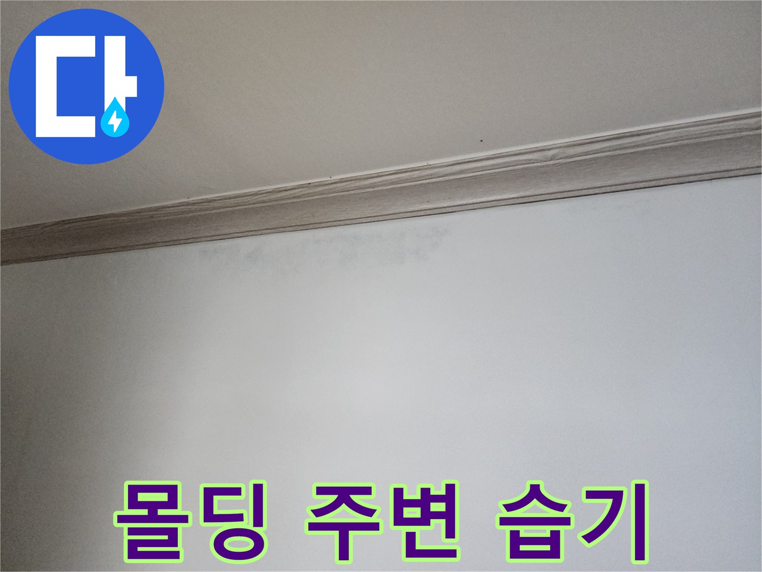 천장-몰딩-하단부의-젖은-벽지-모습