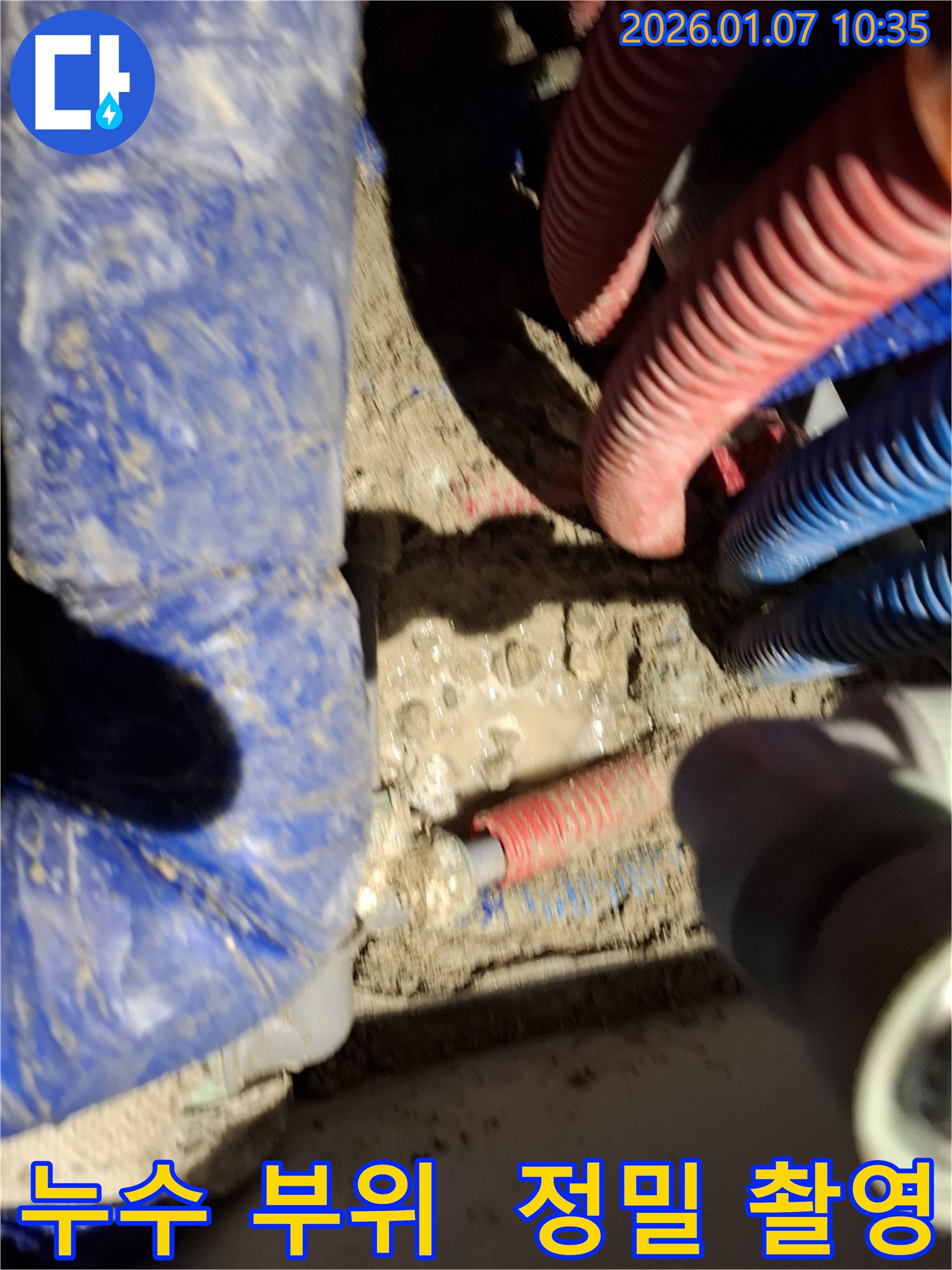 용인시 처인구 모현 누수 현장 - 누수 부위 정밀 촬영