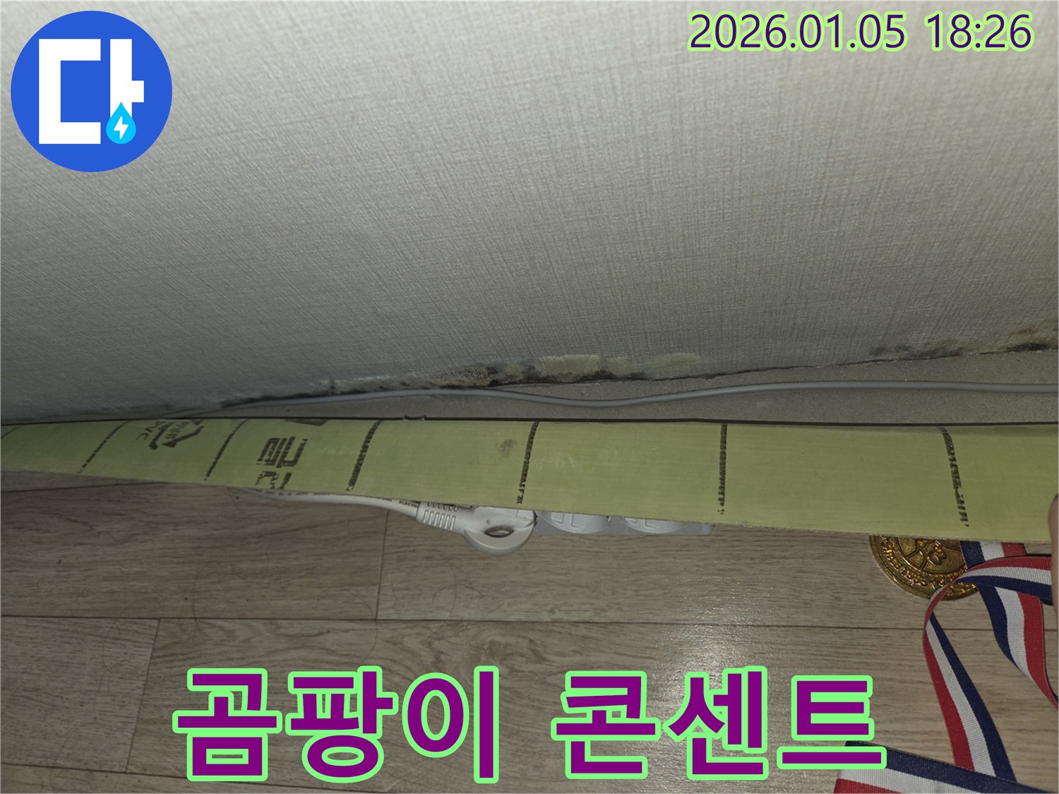 곰팡이 핀 콘센트 - 전기 안전에 적신호가 켜졌습니다.