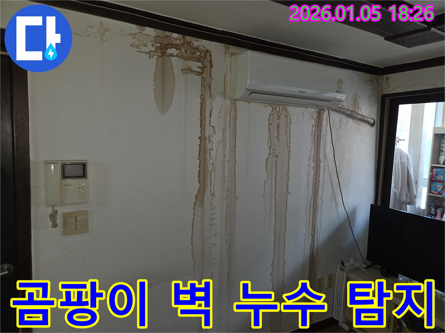 곰팡이가 핀 벽 - 숨겨진 누수를 찾아 해결합니다.