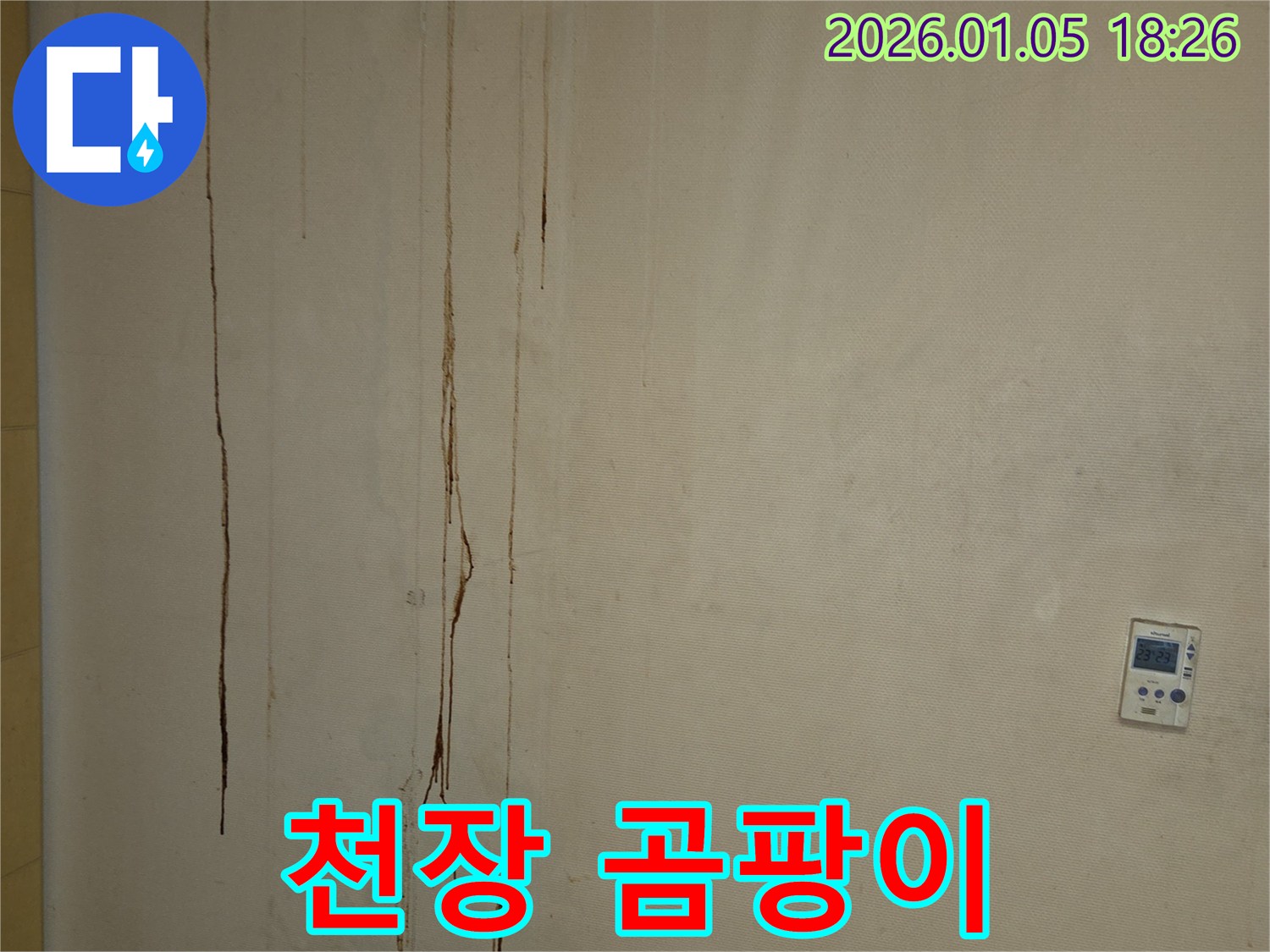 남양주 진건읍 천장 누수 - 곰팡이 발생 상태 점검