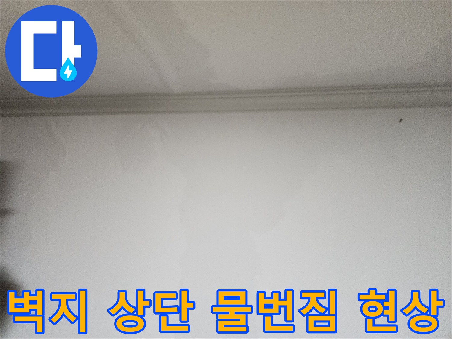 넓게 퍼진 수분 침투 흔적과 젖은 벽면