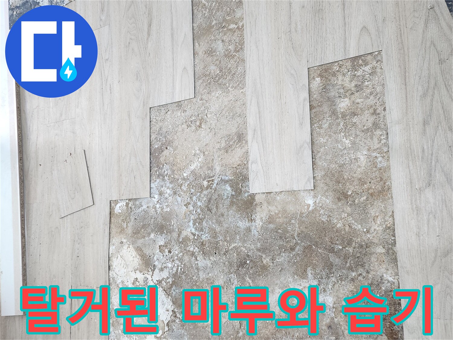 바닥 누수 확인을 위해 마루를 제거한 작업 현장