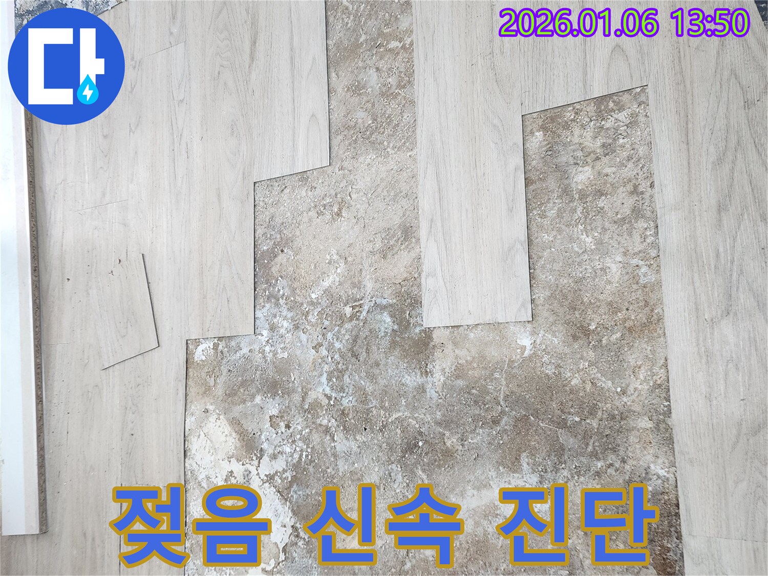 바닥재 젖음 - 신속한 진단이 중요