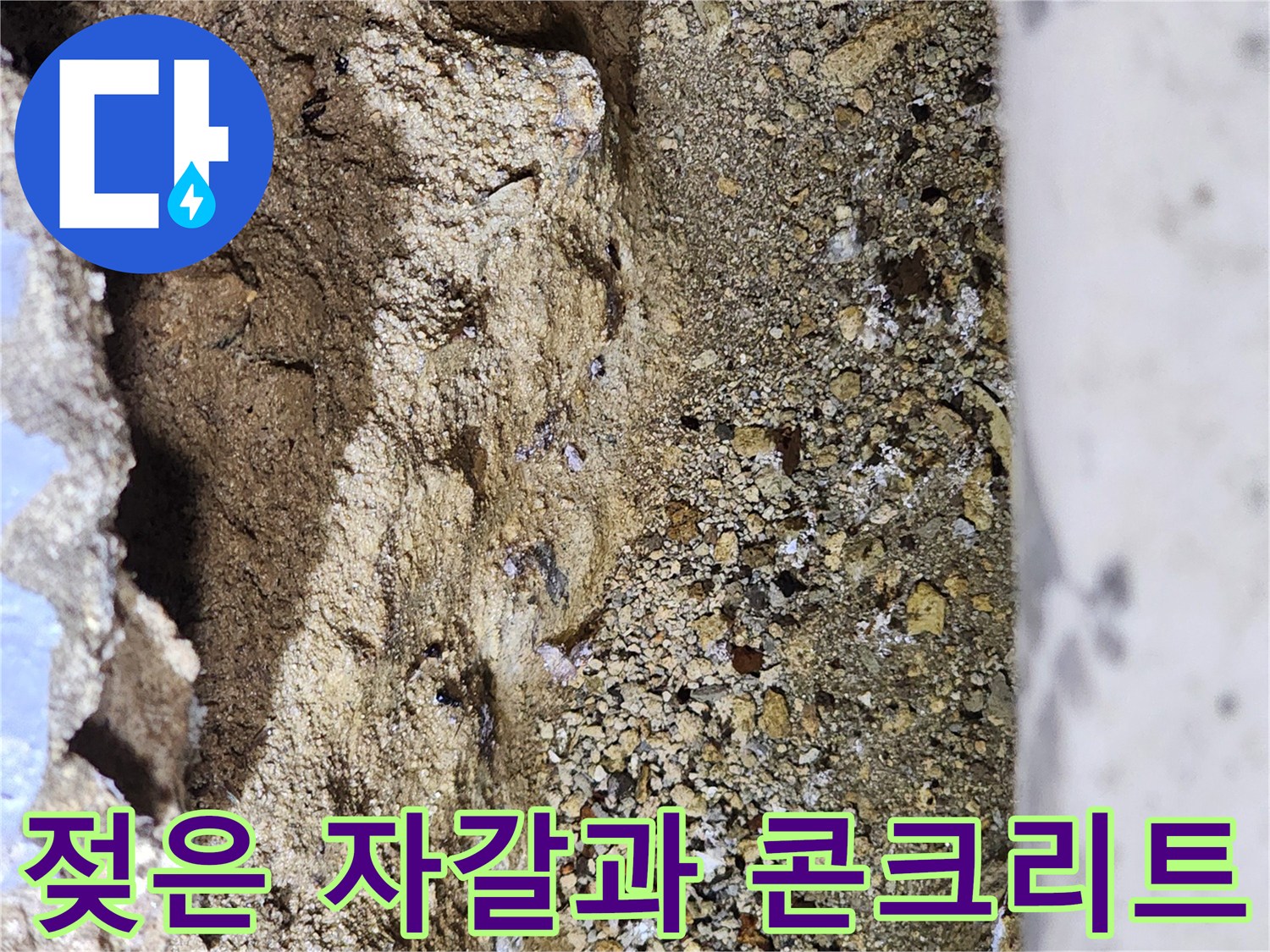 수분이-가득히-스며든-바닥-내부-자재
