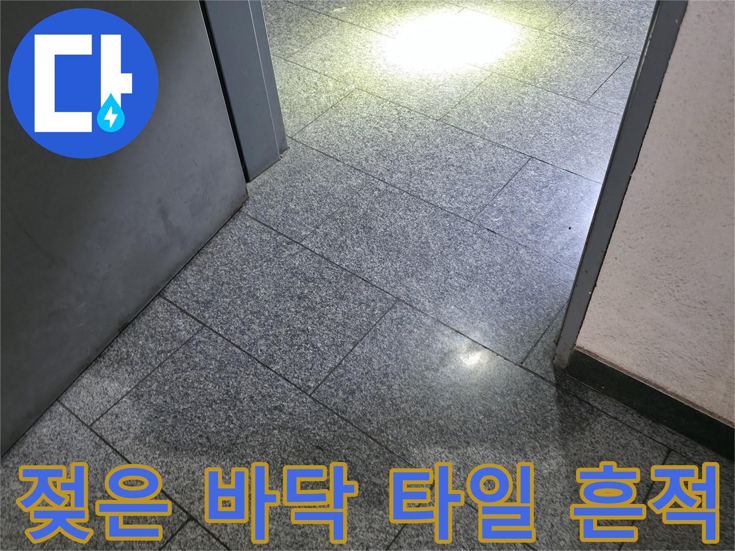 강남구 현장 바닥 타일의 젖은 부위와 습기 분포