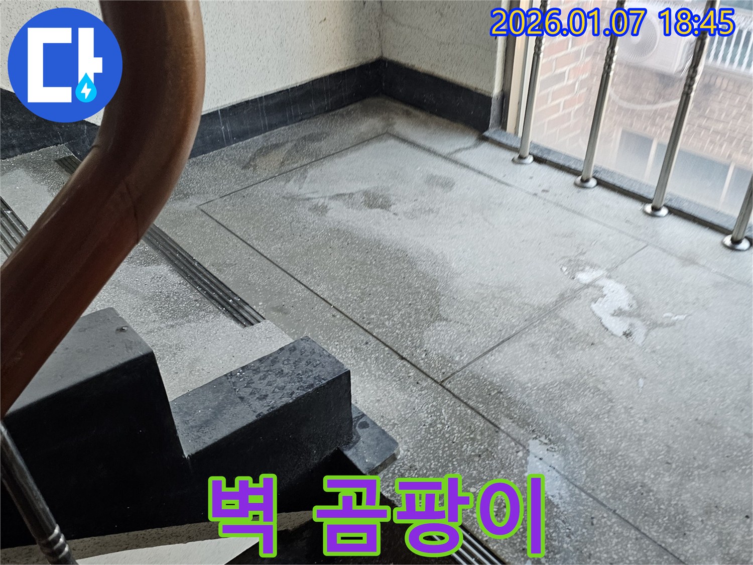 계단 벽 곰팡이 - 건강 위협 - 곰팡이 제거