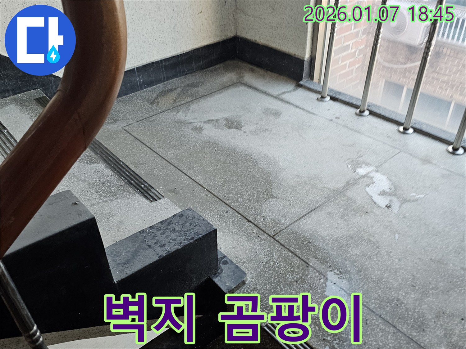 계단 벽지 곰팡이 - 건강 위협 - 곰팡이 제거