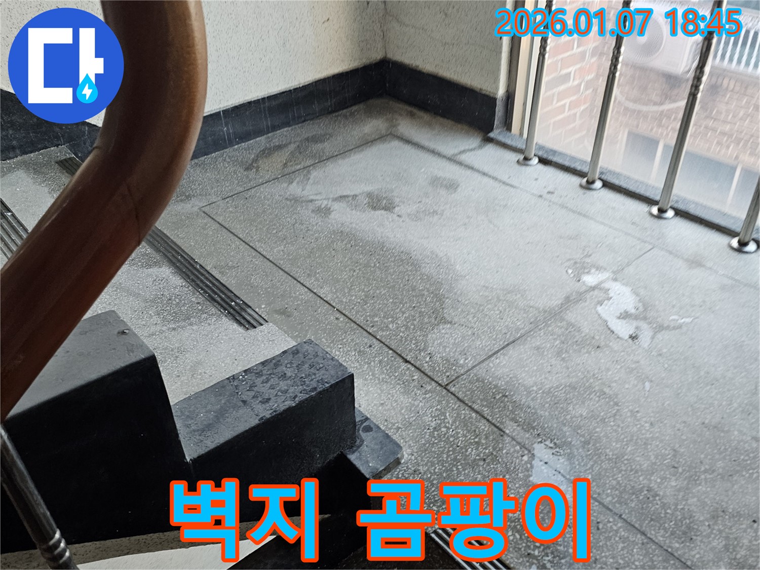 계단 벽지 곰팡이 - 건강 위협 - 곰팡이 제거