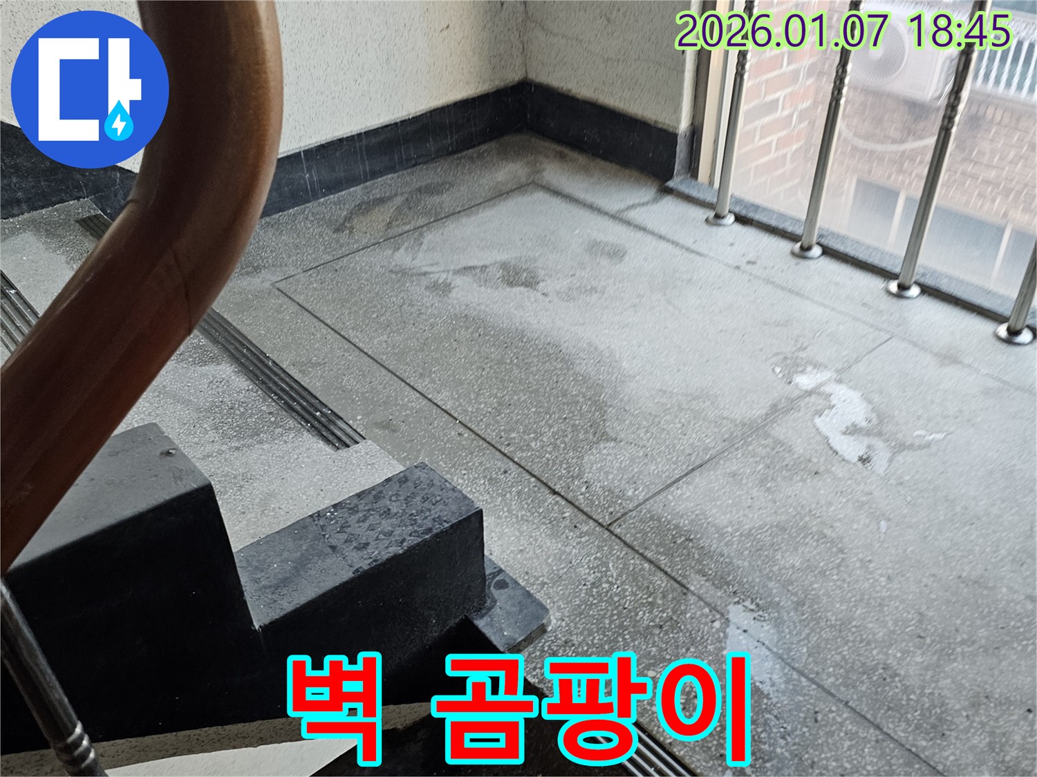 벽 곰팡이 - 건강 위협 - 곰팡이 제거