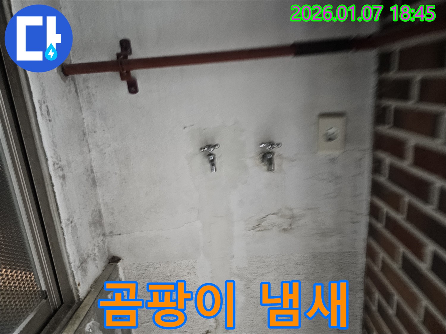 생연동 곰팡이 냄새 진동 - 누수 의심