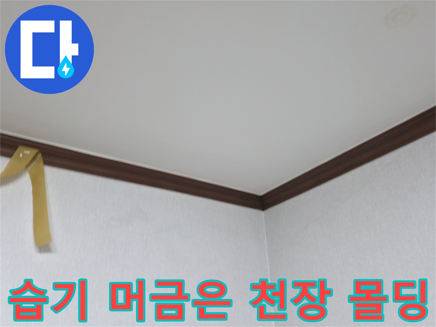 천장-과-몰딩-사이의-습윤한-상태