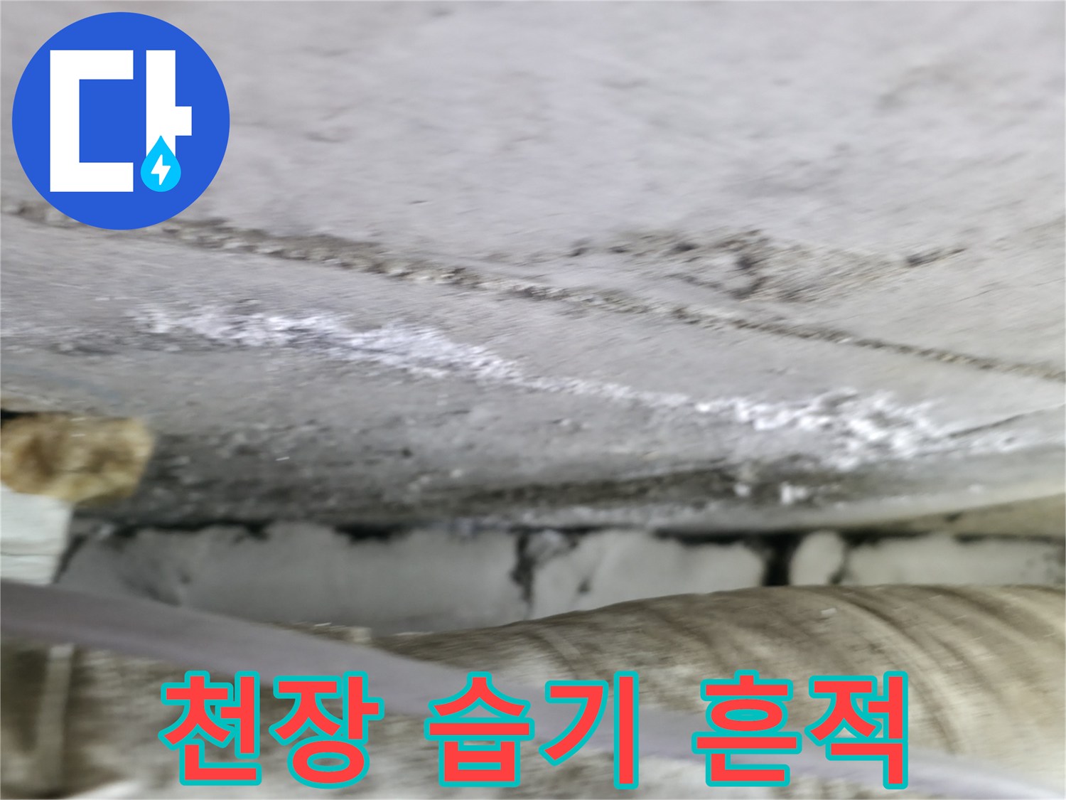 화장실-천장-면의-습기로-인한-얼룩-상태