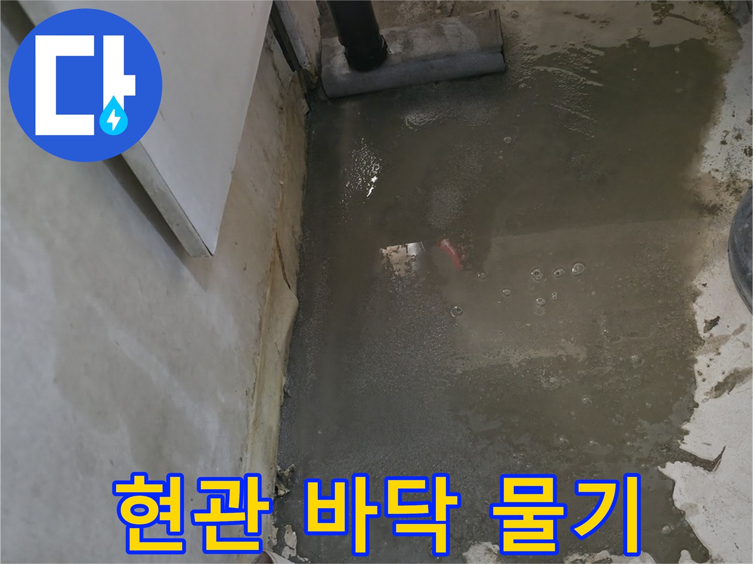송파구 현관 바층 젖은 상태의 모습