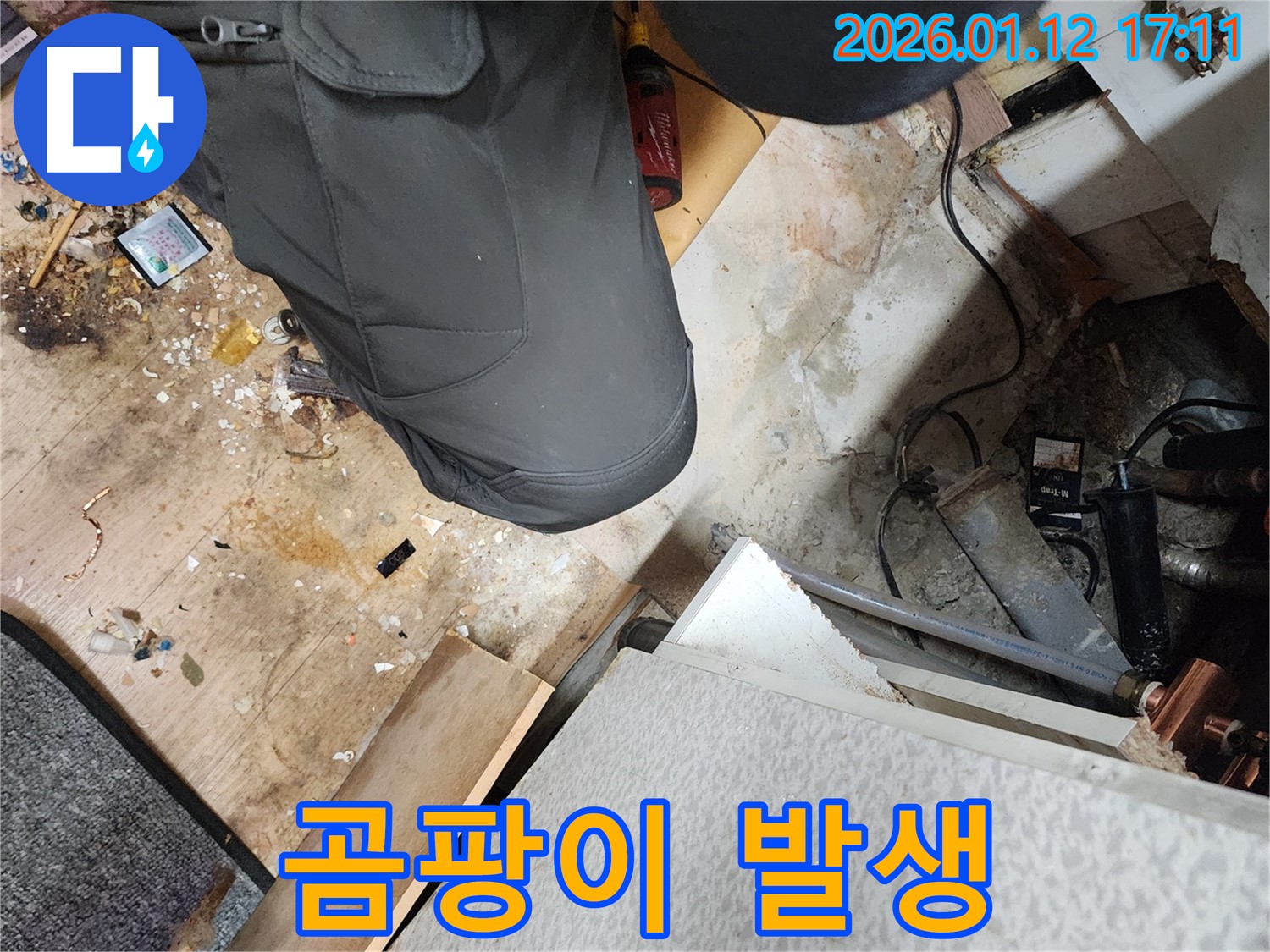 싱크대 하부장 곰팡이 - 습기 및 곰팡이 제거 작업