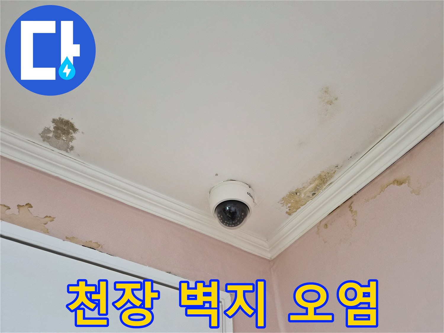 천장-몰딩-주변의-습기로-인한-벽지-오염