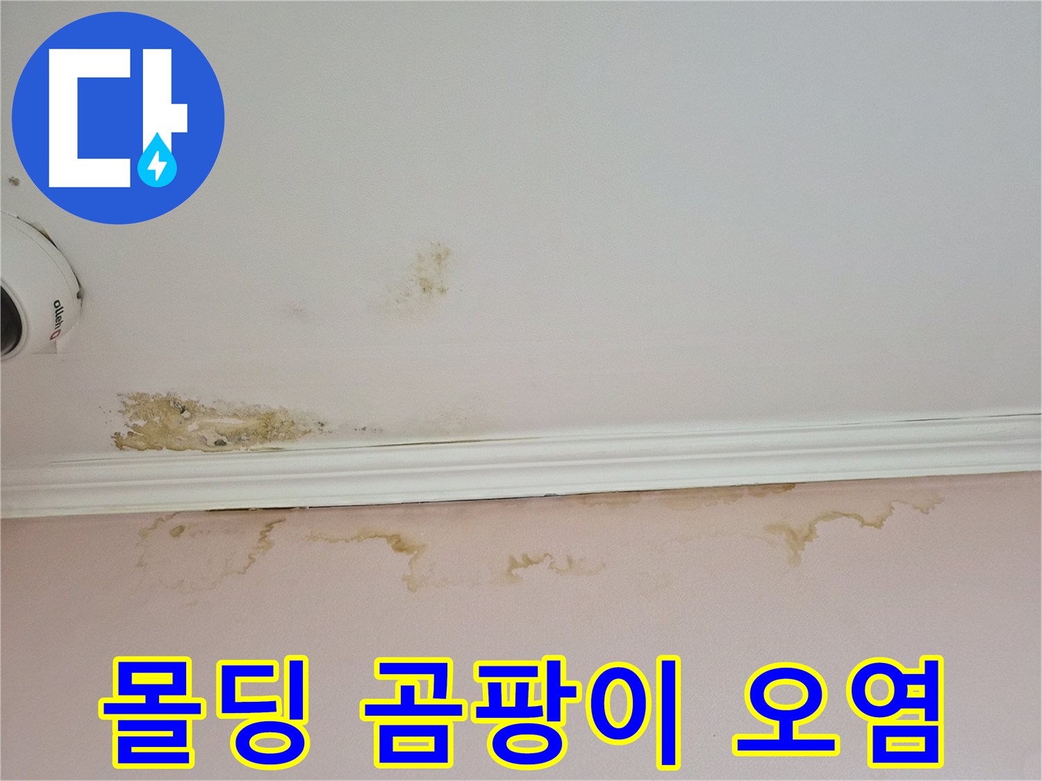 천장-몰딩-틈새의-누수-흔적과-오염