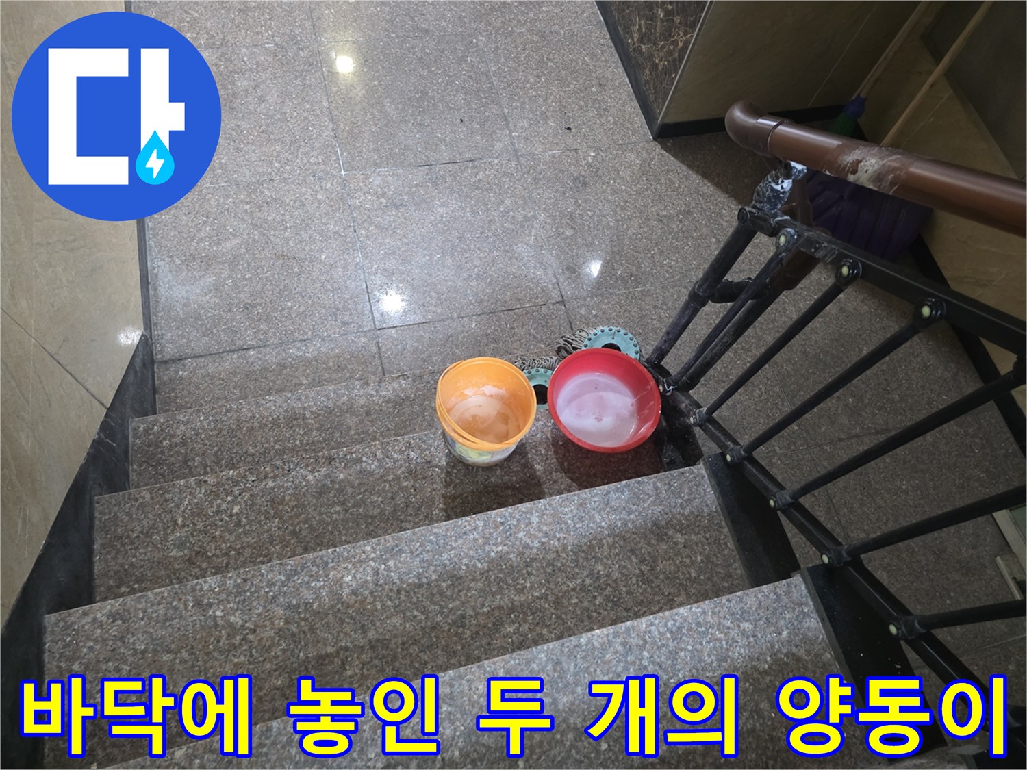 누수-확인을-위한-물받이-양동이-설치