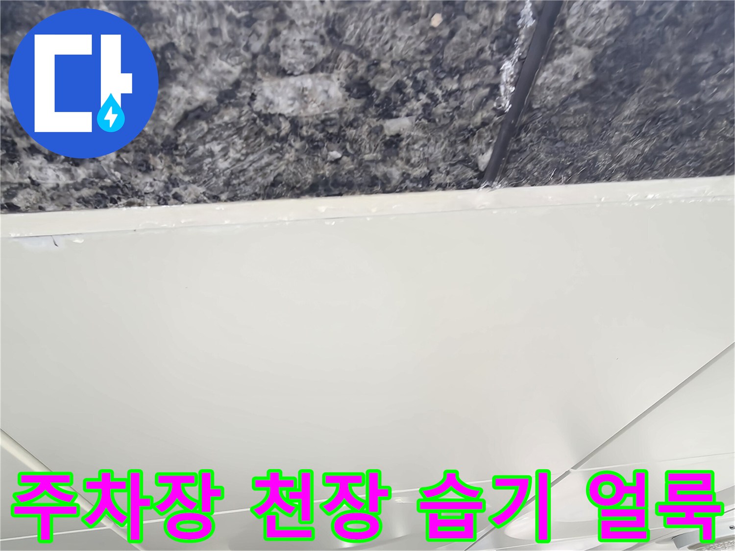 천장 텍스 경계 부분의 어두운 습기 흔적