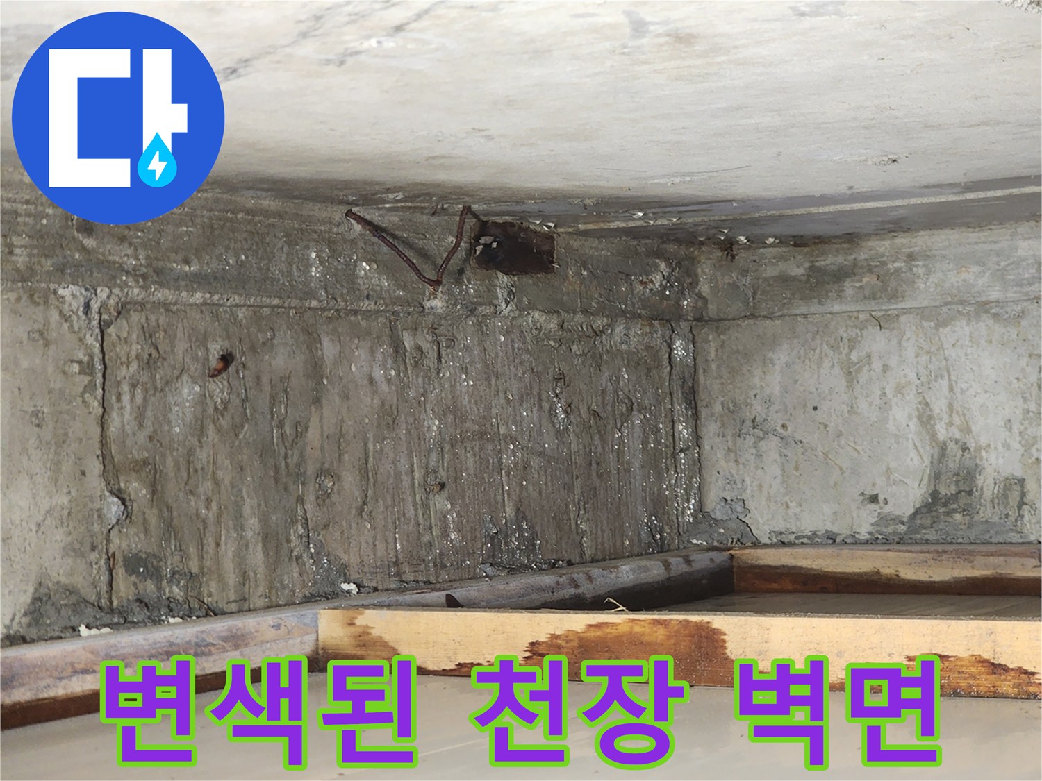물기에-젖어-변색된-천장-콘크리트-벽체