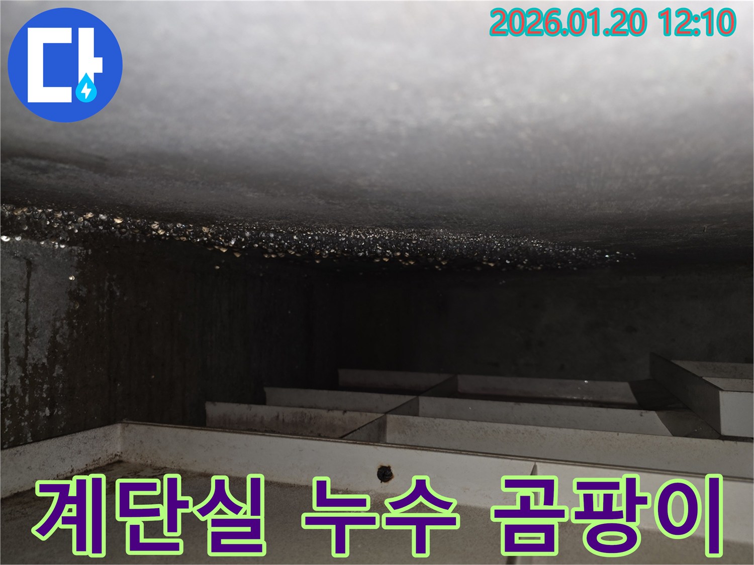 안산 상록구 계단실 천장 누수 - 곰팡이 발생 및 위생 문제