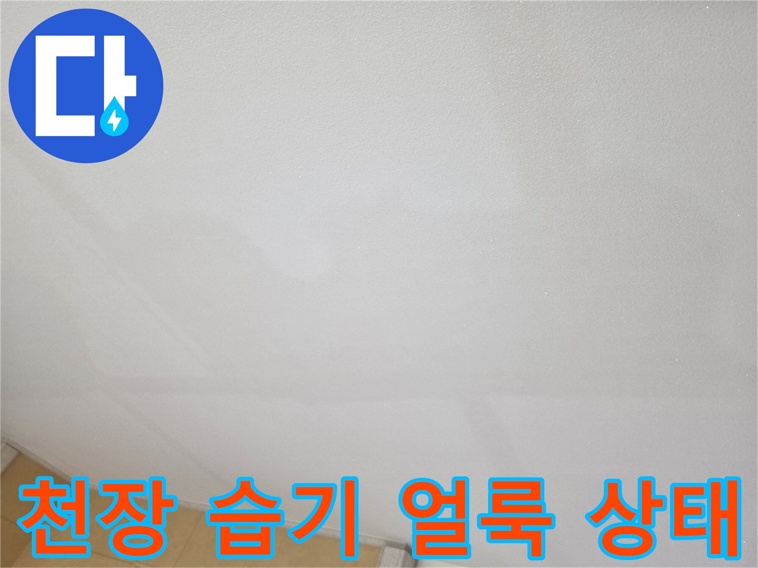 안산-상록구-주방-천장-습기-확인