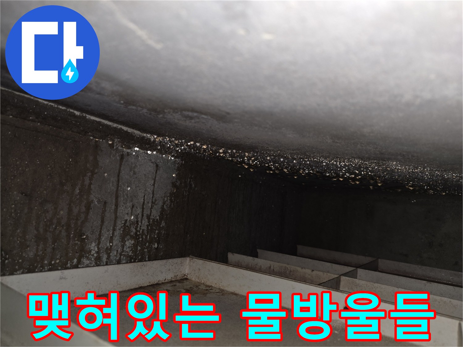 천장-슬래브-표면에-맺힌-누수-물방울