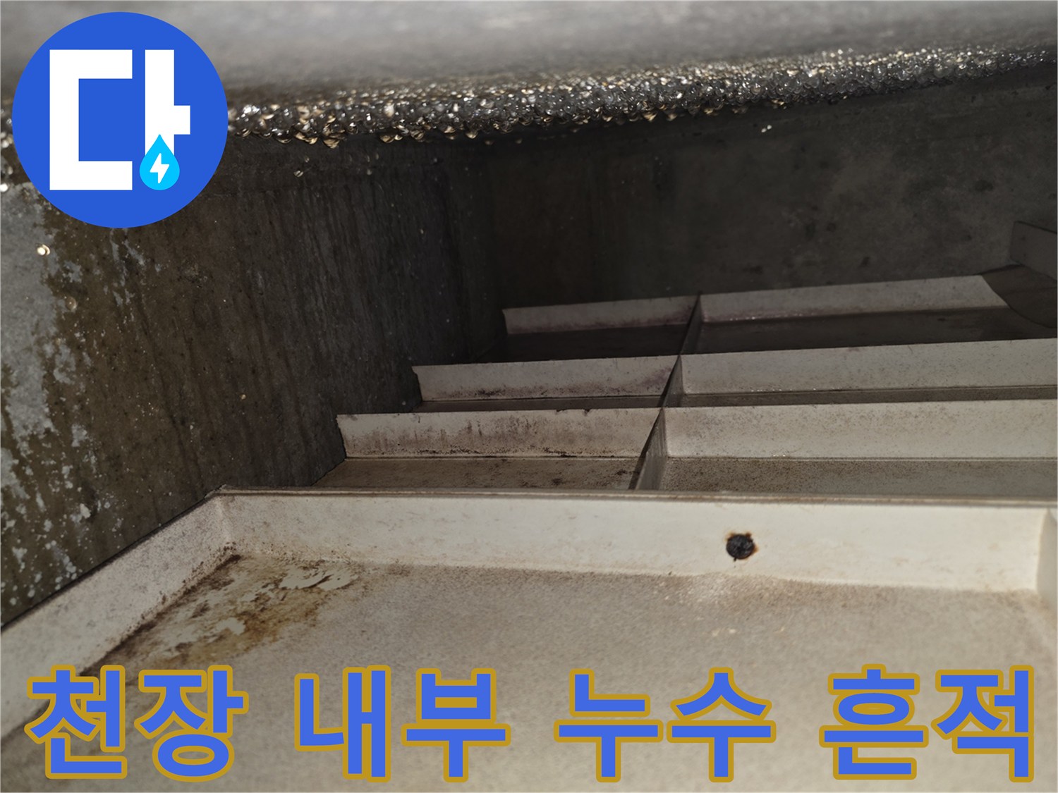축축하게-젖은-천장-슬래브-표면-상태
