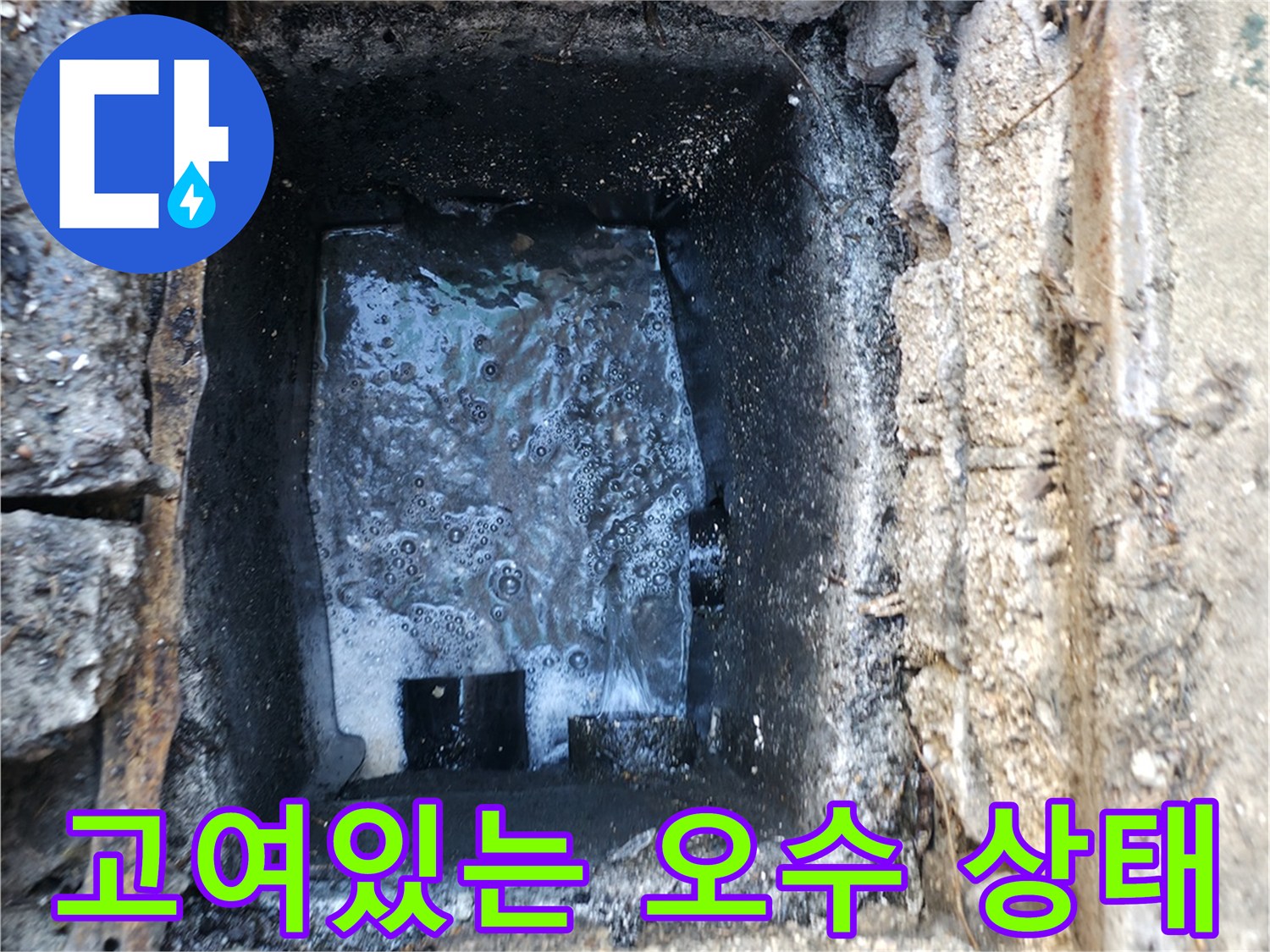 배관-입구-오수-고임-및-이물질-상태
