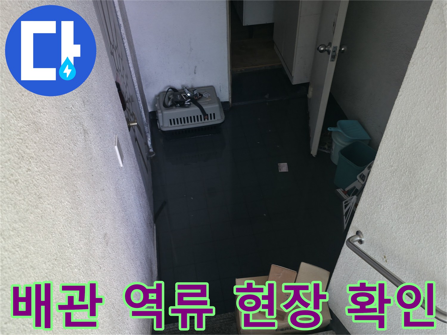 오수가-역류하여-복도-바닥에-차있는-모습