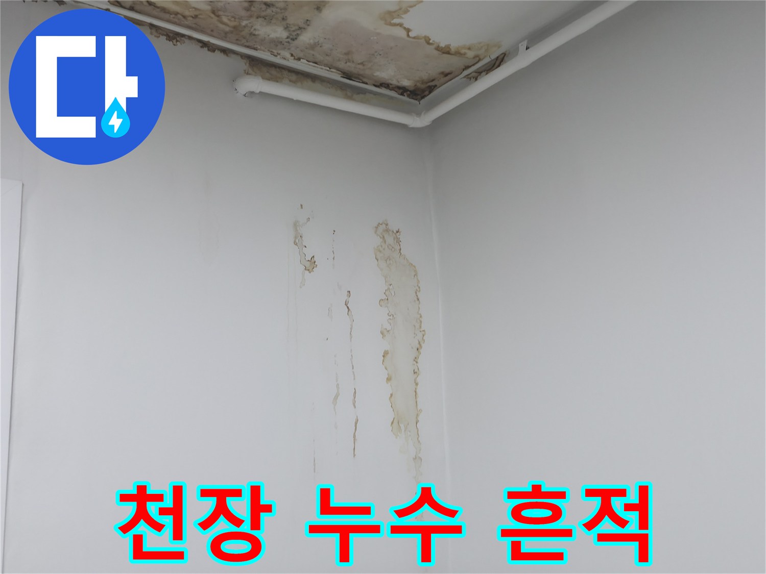 아파트-천장-벽지-변색-및-곰팡이-발생-상태